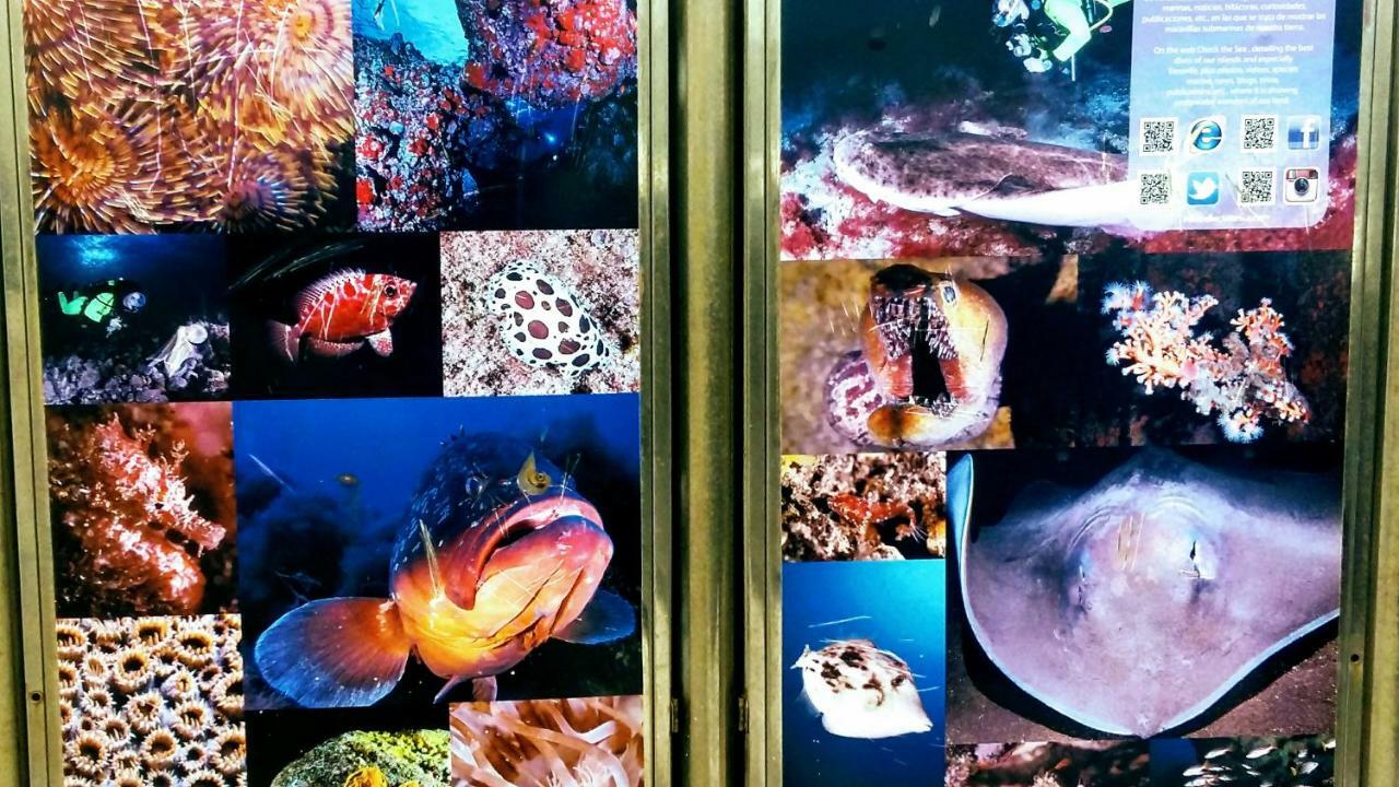 Estudio Los Molinos Ла Лагуна Екстериор снимка
